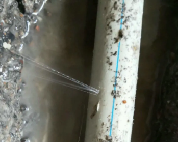 石河子卫生间测漏水多少钱 石河子卫生间测漏水多少钱